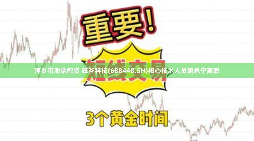 萍乡市股票配资 磁谷科技(688448.SH)核心技术人员胡思宁离职