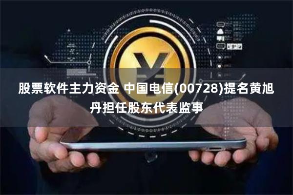 股票软件主力资金 中国电信(00728)提名黄旭丹担任股东代表监事