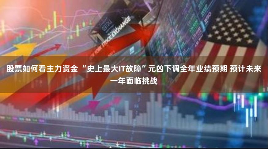 股票如何看主力资金 “史上最大IT故障”元凶下调全年业绩预期 预计未来一年面临挑战
