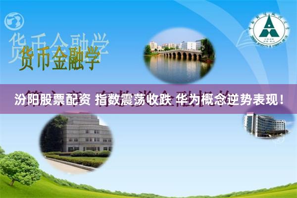 汾阳股票配资 指数震荡收跌 华为概念逆势表现！