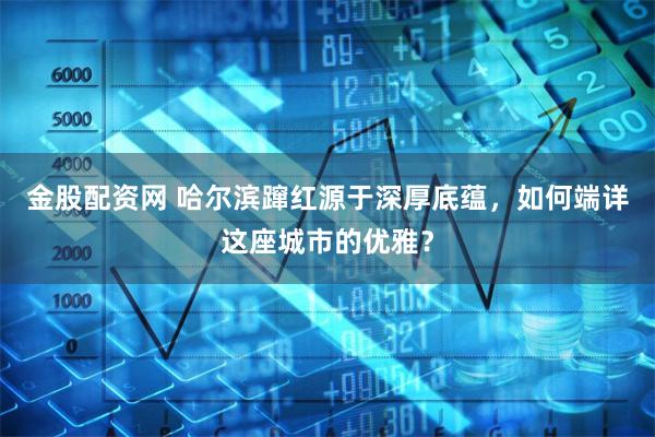 金股配资网 哈尔滨蹿红源于深厚底蕴，如何端详这座城市的优雅？