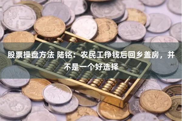 股票操盘方法 陆铭：农民工挣钱后回乡盖房，并不是一个好选择